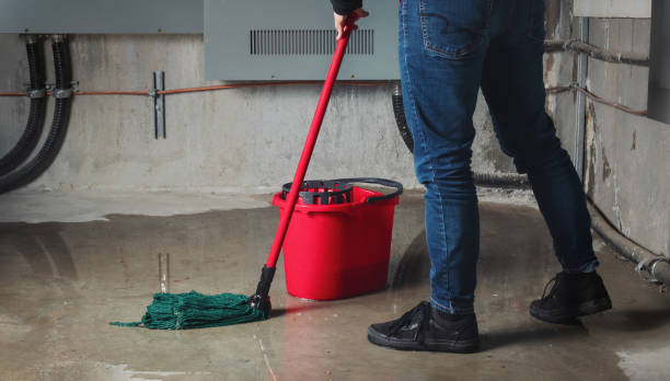 Best Ceiling water damage repair  in Baldwin, PA