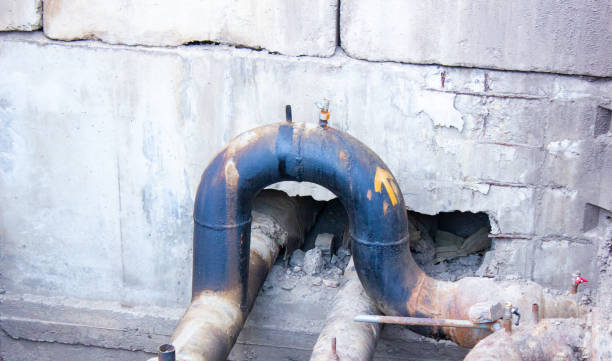 Best Professional water damage repair  in Baldwin, PA